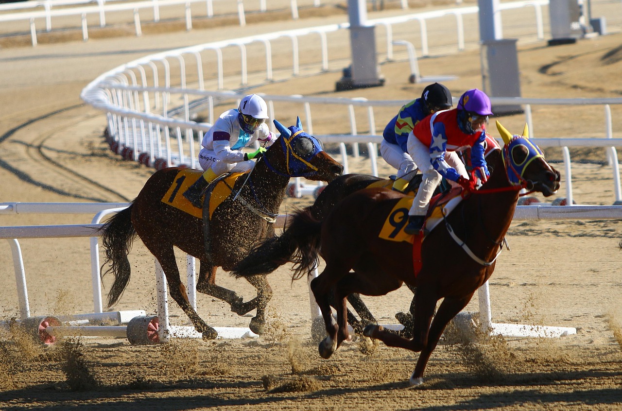 Secure Real Money Horse Racing Betting Review 2026: Bonus, App, Withdrawal Tested
